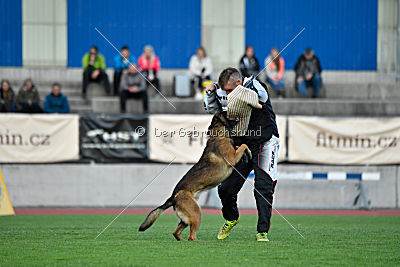 Ghandi from Mike`s Place